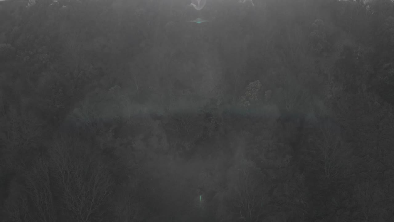 establecimiento de un clip aéreo sobre un acantilado y un bosque con vistas a los acantilados de cromer en inglaterra