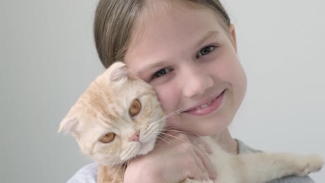 retrato de una niña sonriente con una mascota de raza de gato rojo escocés mirando a la cámara