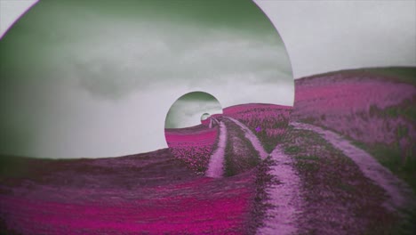 spiral path through a pink floral landscape