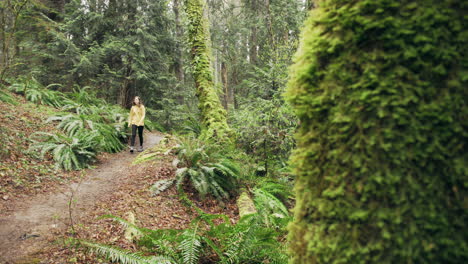 Una-Mujer-Joven-Con-Una-Chaqueta-Amarilla-Brillante-Camina-Por-Un-Bosque-De-Musgo-Verde,-Con-Una-Toma-Panorámica-Entre-Dos-árboles-Grandes