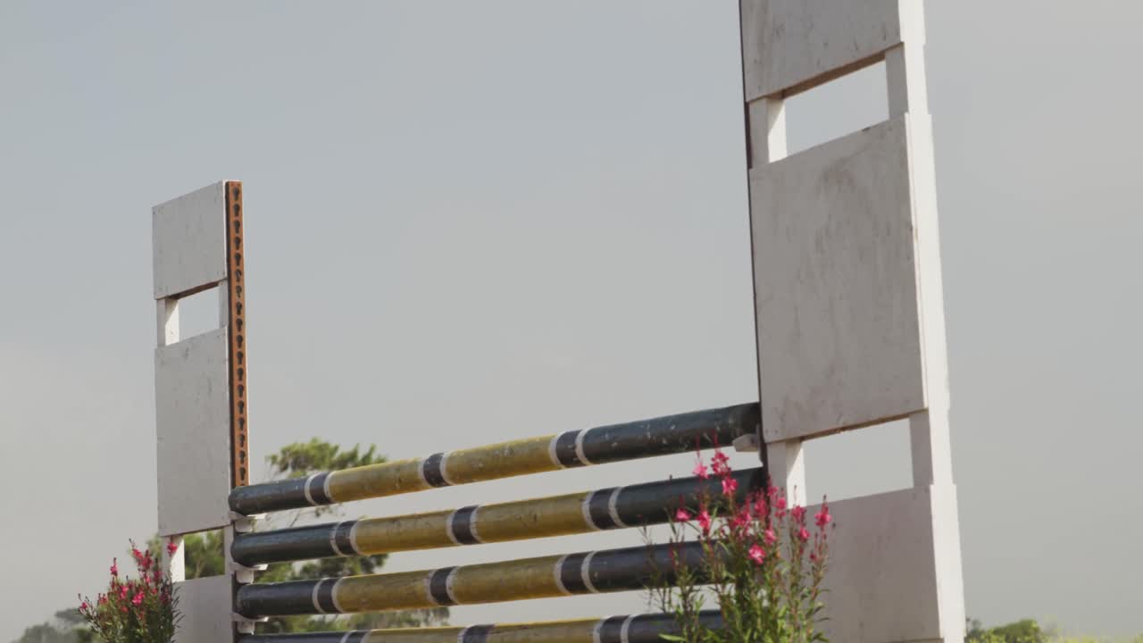 아프리카계 미국인 남자가 말과 함께 장애물을 뛰어넘고 있습니다.