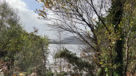 Walking-along-the-coast-of-Muckross-Lake-during-an-overcast-day,-County-Kerry,-Ireland