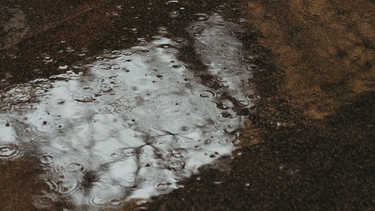 Rainy day puddle reflection
