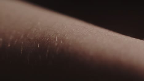 Close-Up-Of-A-Hand-Skin-Hair-Standing-Up---Close-Up-Shot