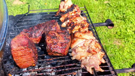 grilling delicious meat in outdoors bbq, close up view