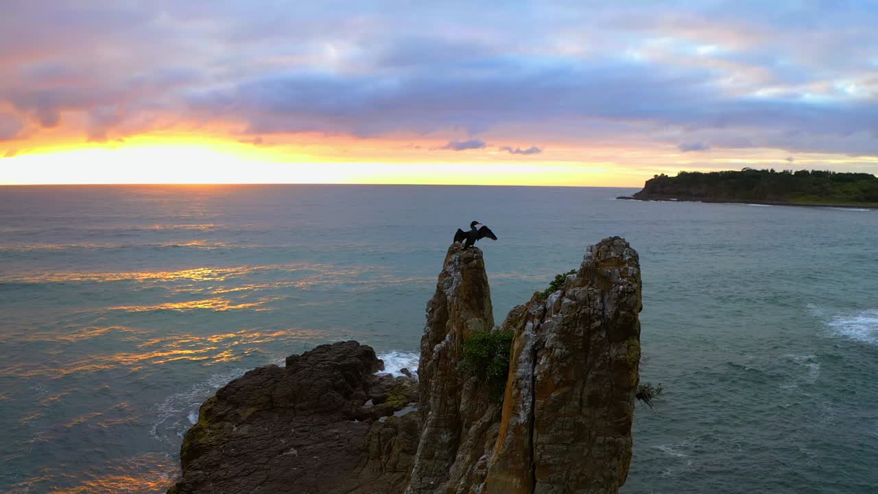 vista aérea de las alas móviles de los cormoranes contra el espectacular cielo del amanecer y el océano tranquilo en las rocas de la catedral, kiama downs, nsw australia - toma aérea en cámara lenta en órbita