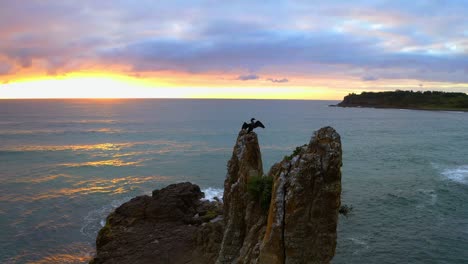 Vista-Aérea-De-Las-Alas-Móviles-De-Los-Cormoranes-Contra-El-Espectacular-Cielo-Del-Amanecer-Y-El-Océano-Tranquilo-En-Las-Rocas-De-La-Catedral,-Kiama-Downs,-Nsw-Australia---Toma-Aérea-En-Cámara-Lenta-En-órbita