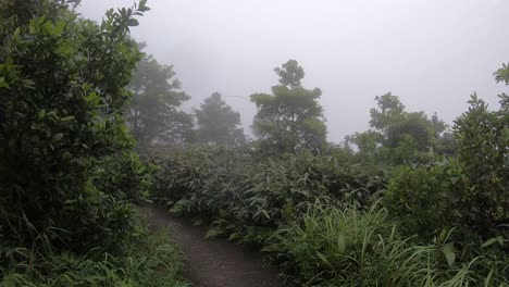 Hong-Kong-Victoria-Peak-Und-Gärten