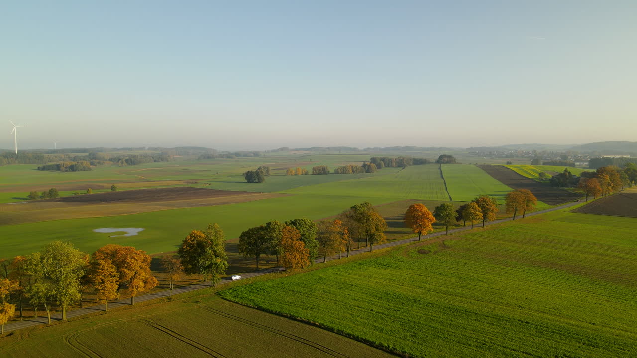 Aerial of cars driving along road with trees through beautiful rural farmland fields