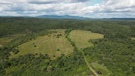 An aerial shot of strangely cut grass with mountains in the background