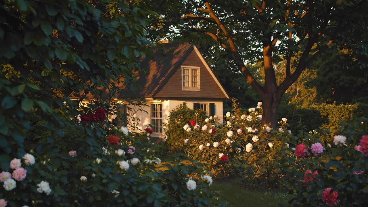 Charming cottage surrounded by blooming roses, captured at eye level