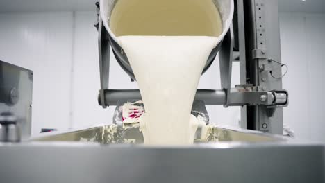 confectionery and bakery industry preparing dough and pastries