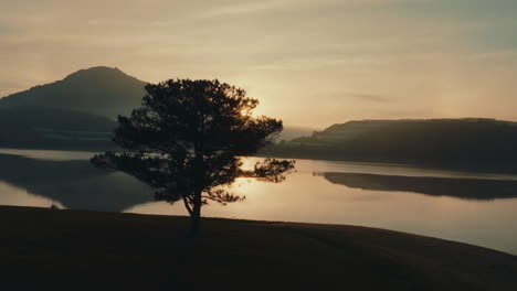 sunrise over mountain lake with a single tree