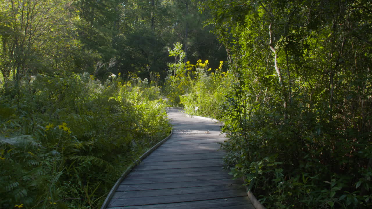 Wooden bridge through a garden, panning shot