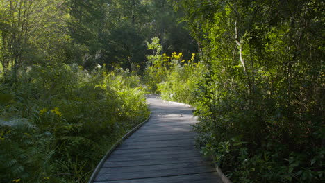 Wooden-bridge-through-a-garden,-panning-shot