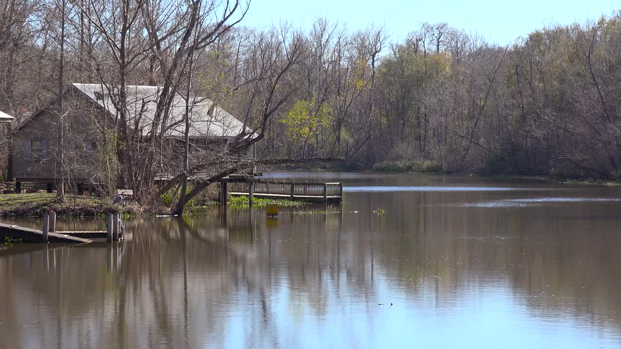 una cabaña remota se encuentra en lo profundo del pantano de manglares de louisiana