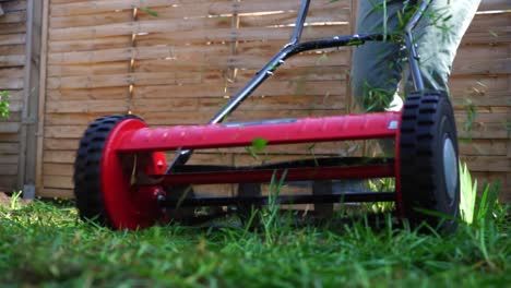 gardener pushing lawn mower back and forth in the yard of his homestead house