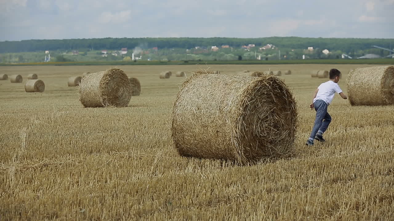 Child Boy In The Field. Child boy in the field against straw bales