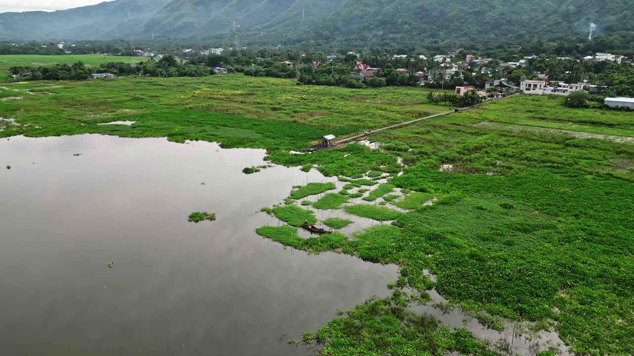 Distant mountains provide a scenic backdrop to the aerial view of the rice paddies, enhancing the natural beauty of Mauban, Quezon's agricultural region