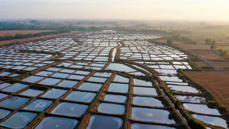 fish farm aerial view at sunrise