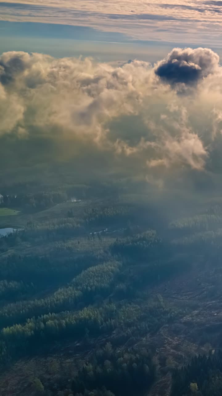 Vertical timelapse over lush landscape with rolling clouds above forests