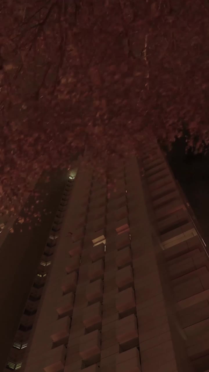 construcción de la ciudad por la noche con árboles