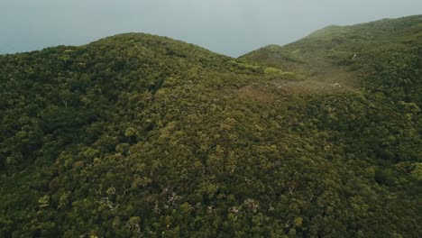 Drohnenantenne-über-Tropischer-Waldinsel,-Die-In-Einer-Wolke-Nach-Oben-Schwenkt