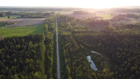 technical forest path road for forestry recreation and logging aerial view