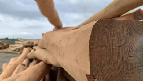 limpiar hermosos troncos de madera en la pila
