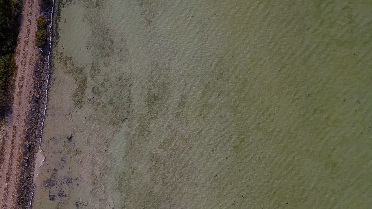 las salinas de bonaire