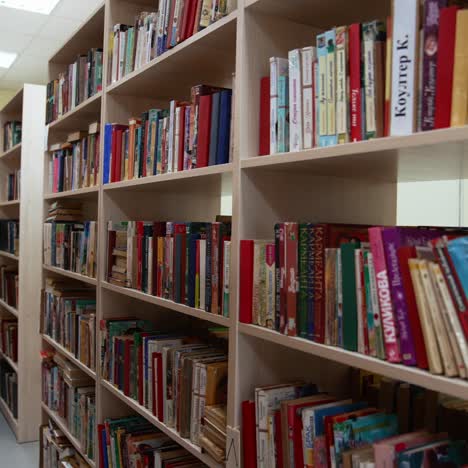 library with large bookcase