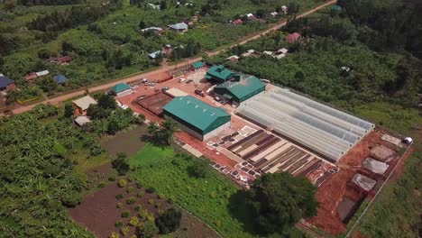 manufacture for drying and processing coffee beans for famous uganda arabica