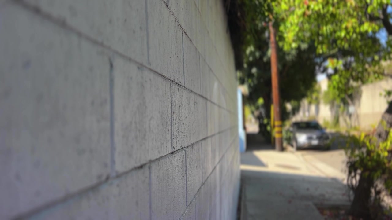 Un muro di mattoni costeggia un marciapiede illuminato dal sole a Brentwood, con alberi che proiettano ombre. Ideale per progetti a tema urbano o studi architettonici