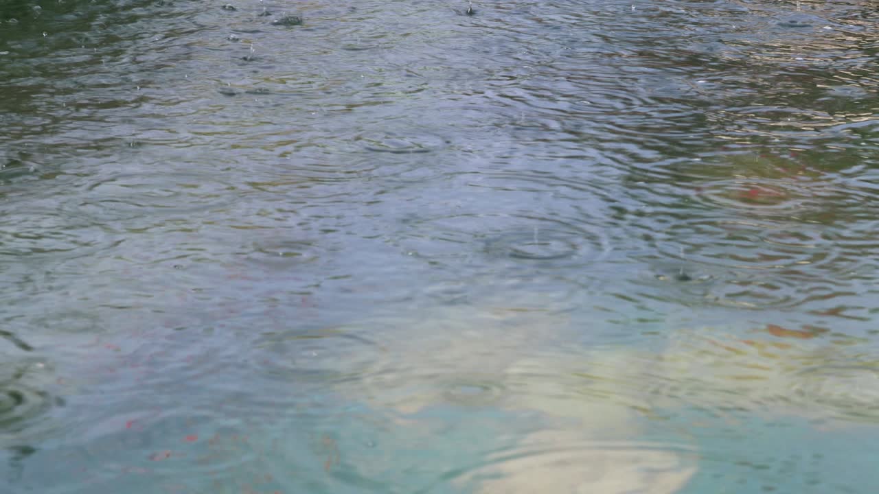 수영장, 연못, 물, 물결, 야외의 빛에 비가 떨어집니다.