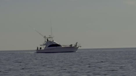 Angeln-Im-Meer-Von-Cortez-In-Der-Nähe-Von-Guaymas,-Mexiko,-Als-Ein-Delphin-Am-Bug-Bricht