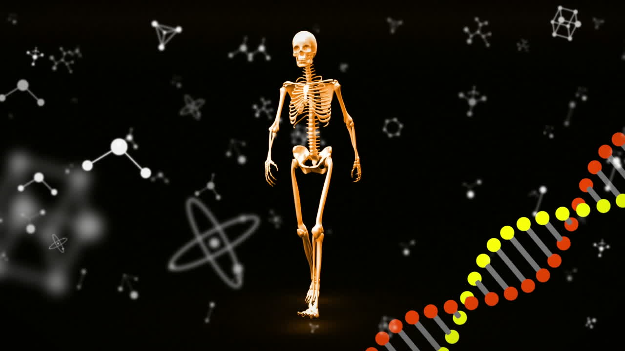 animación de una cadena de adn girando con esqueleto humano en fondo negro