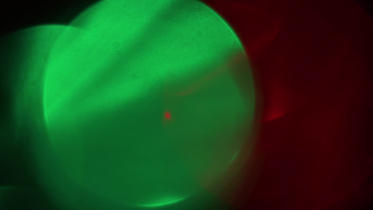 빨간색, 파란색 및 녹색 불빛이 빛나고 전체 화면으로 박입니다.