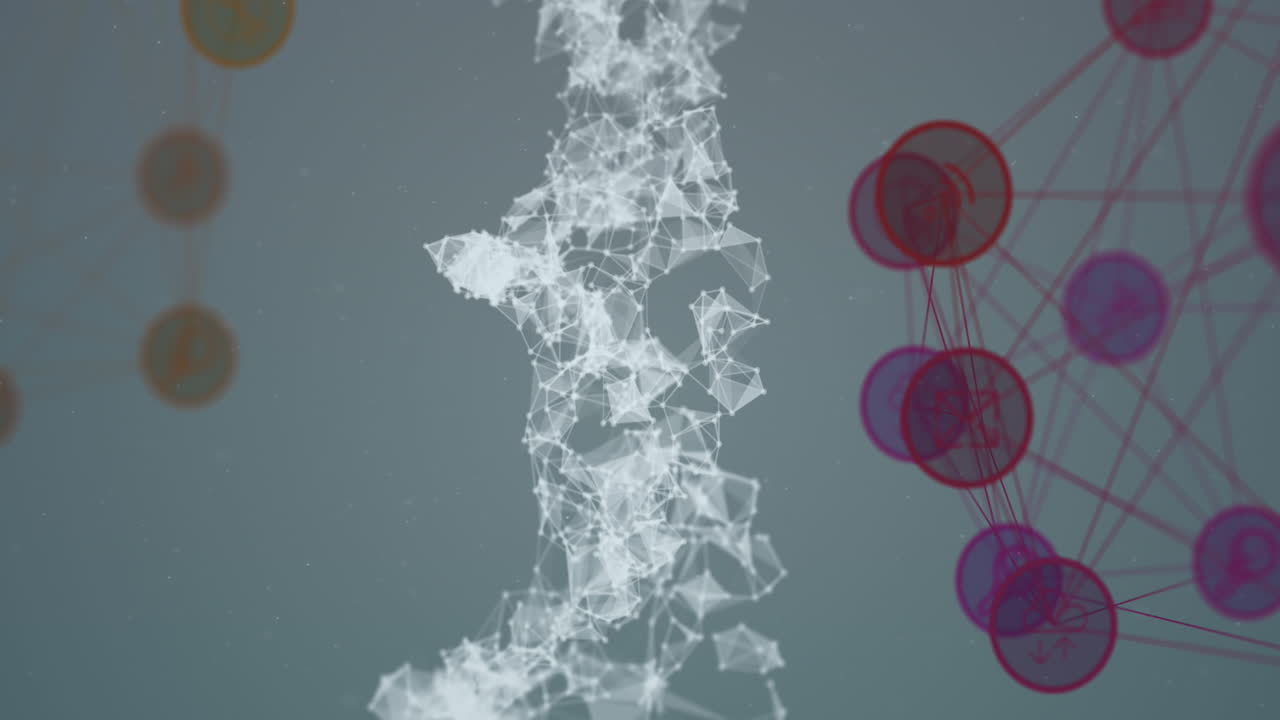 dna와 연결망이  ⁇  바탕에 있습니다.