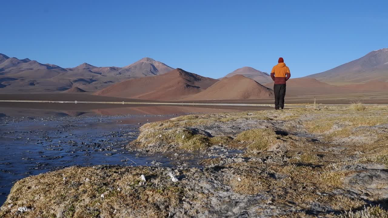 Uomo cammina lungo la riva di un lago salato riflettente nell'altopiano cileno