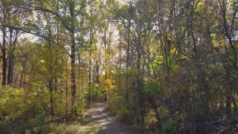sendero de bosques en la temporada de otoño