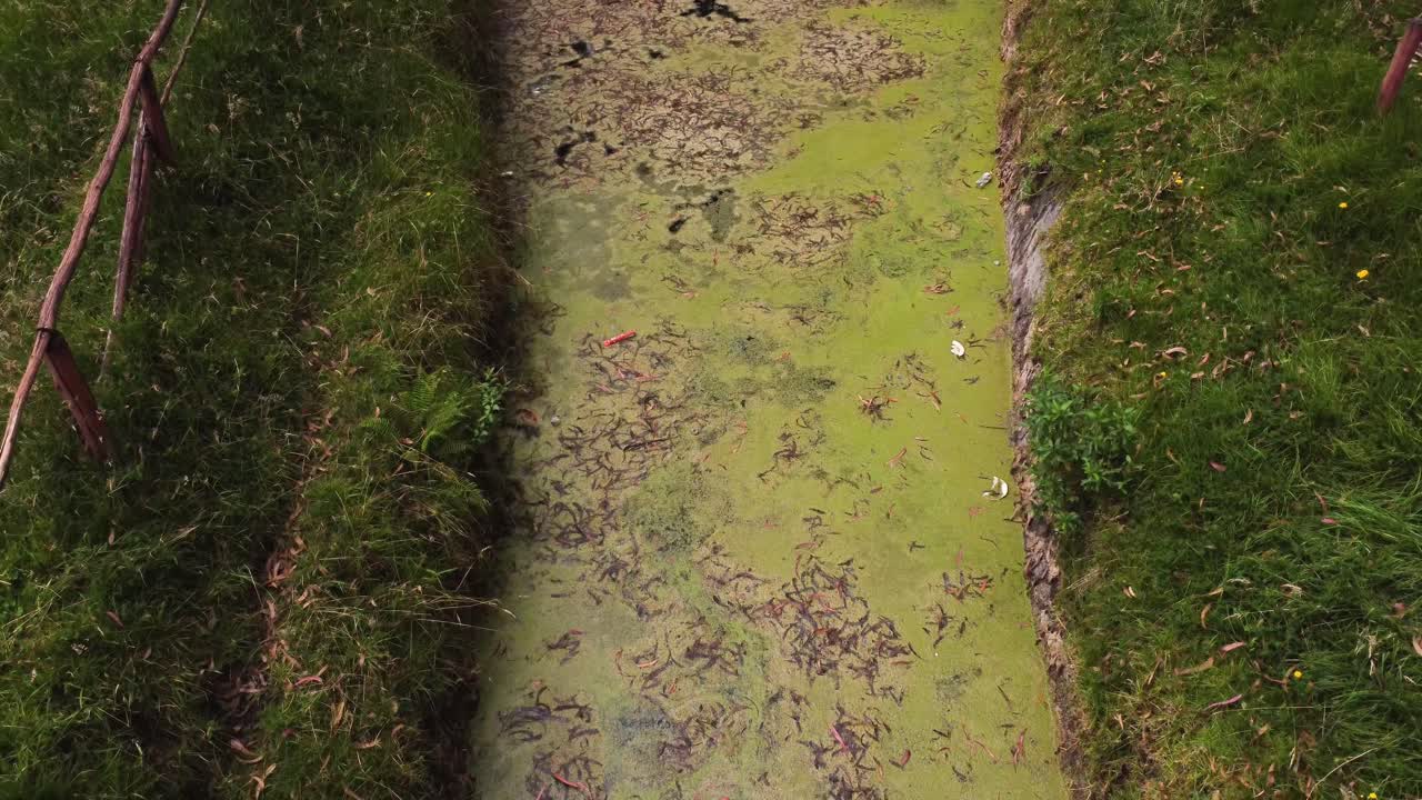drone volador sobre un río contaminado en ecuador