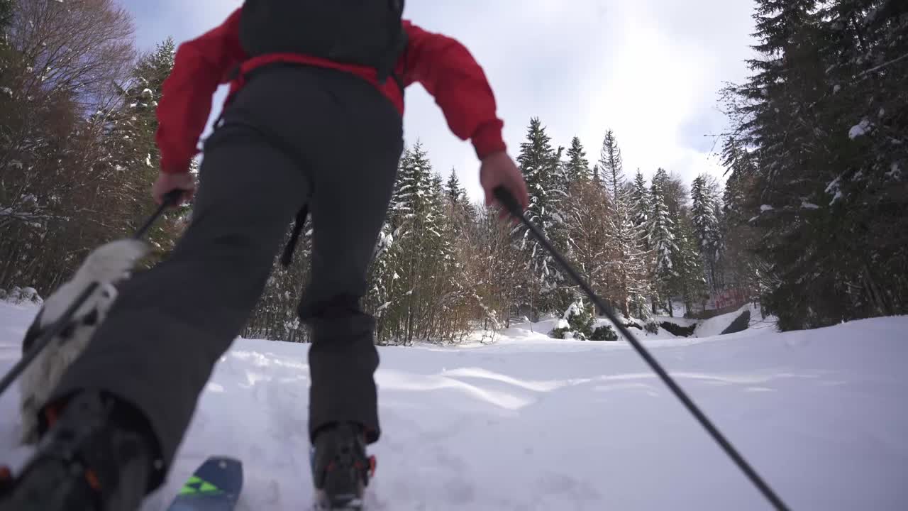 Winter Hiking with a Dog in the Snow-Covered Mountains