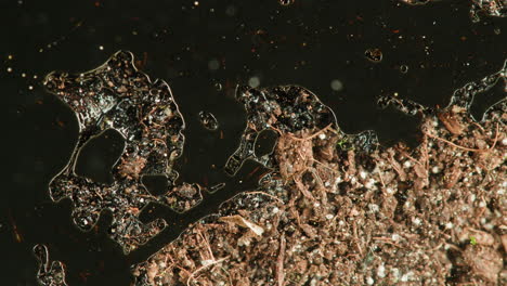waterlogged soil with dark liquid