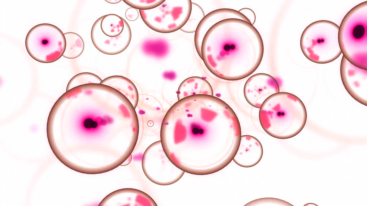 추상적인 세포 구조