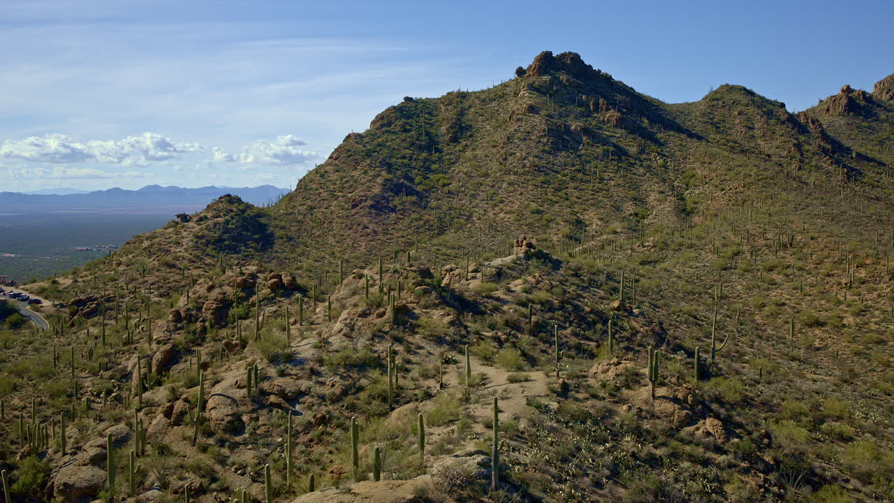 tomada de un dron que muestra el paisaje de la montaña del desierto cubierto de cactus en tucson, arizona