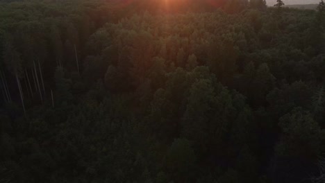 Imágenes-Aéreas-De-Drones-Que-Revelan-Lentamente-Una-Hermosa-Puesta-De-Sol-Sobre-Un-Bosque-Con-Colinas-En-El-Fondo