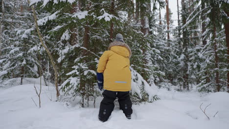 Fin-De-Semana-Familiar-En-La-Naturaleza-En-Un-Bosque-Nevado-En-Invierno-Niño-Pequeño-Explorando-La-Naturaleza-Infancia-Feliz