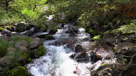 Landscapes-of-the-Patagonian-province-of-Río-Negro-in-Argentina