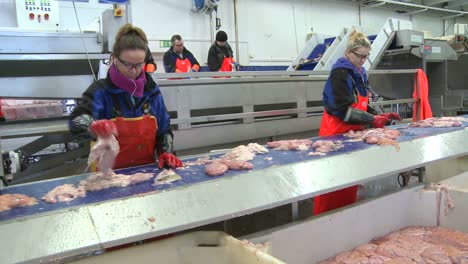 women work on an assembly line at a fish processing factory 2