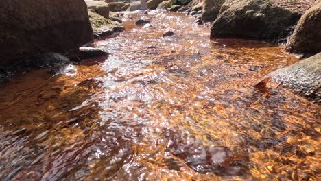 gentle water stream flowing across a rocky bed